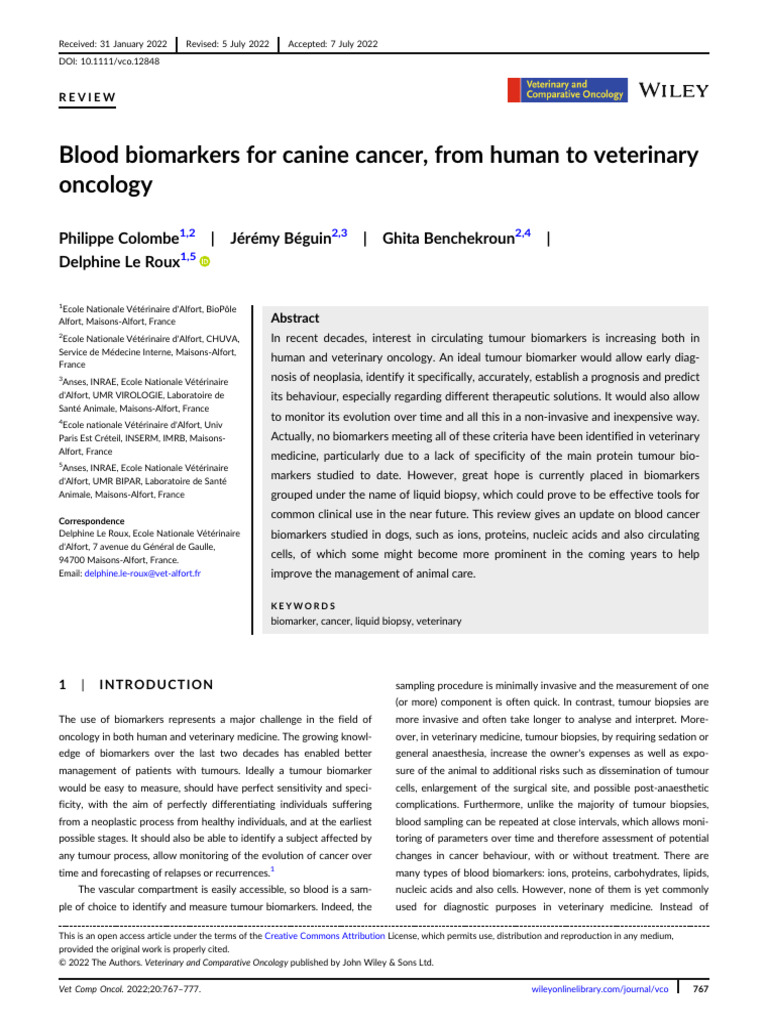 Blood Biomarkers for Canine Hemangiocarcinoma | PDF | Lactate ... - Canine Cancer And The Importance Of Fatty Acid Profiles