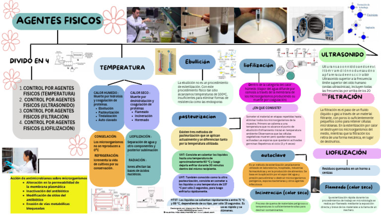 Métodos de Control Microbiano | PDF | Esterilización (Microbiología)