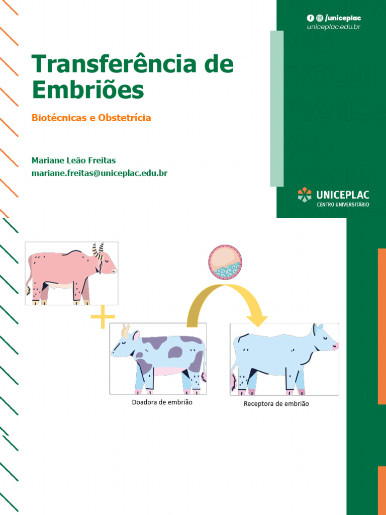 Transferência de Embriões: Métodos e Etapas | PDF | Zoologia | Reprodução