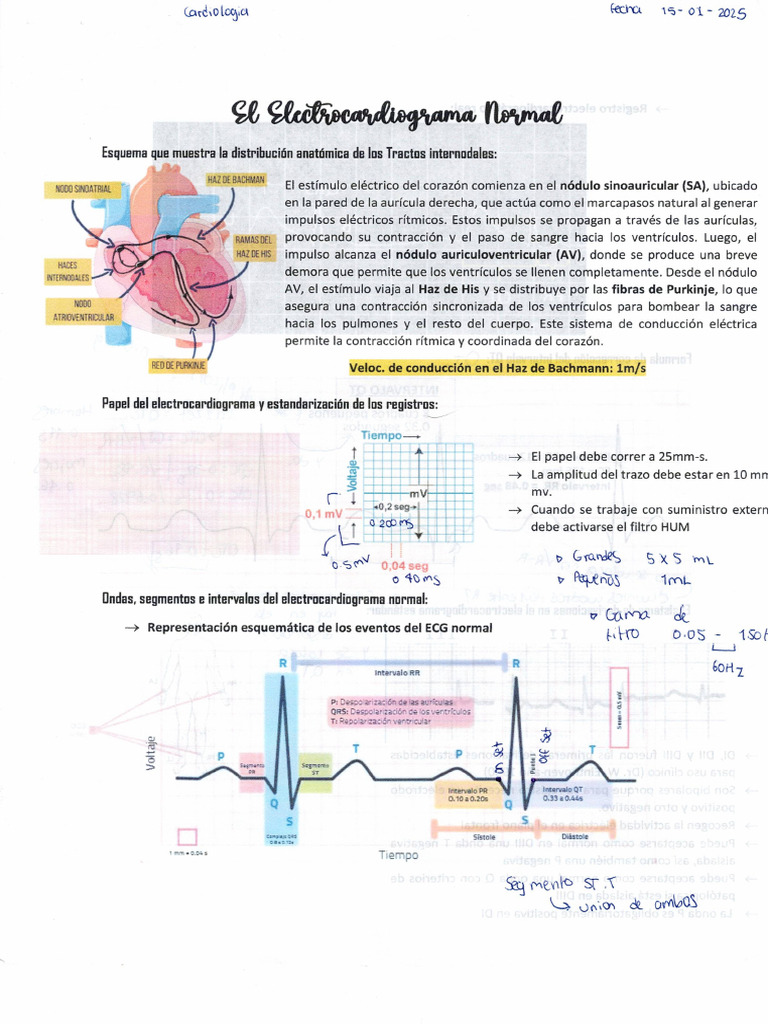 Apuntes Clase | PDF