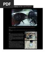 Download Betta Fighter by jomytravis SN85369275 doc pdf