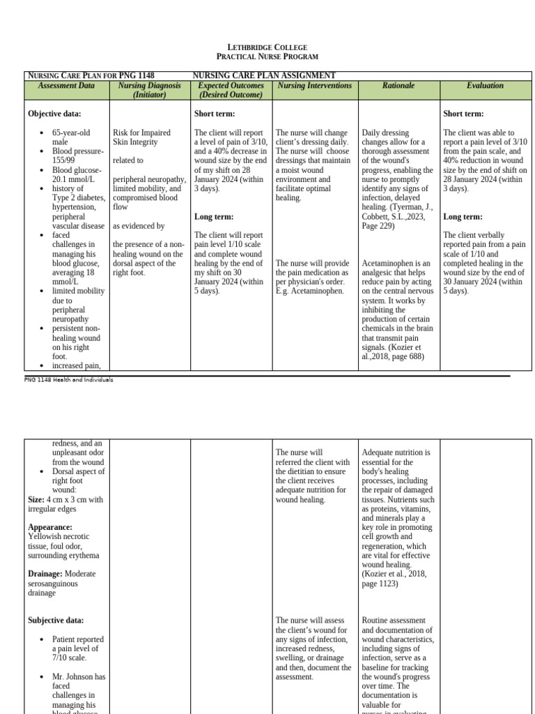 Nursing Care Plan For Health and Individual | PDF | Wound | Pain