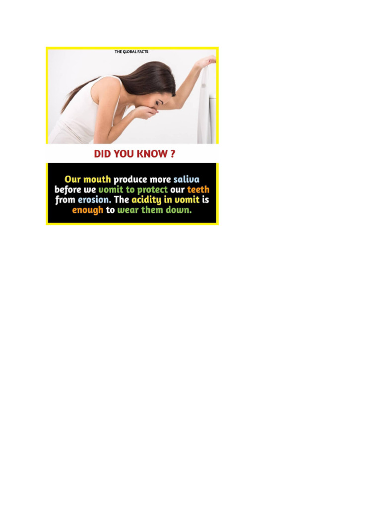 DID YOU KNOW FACTS PDF visual data 3