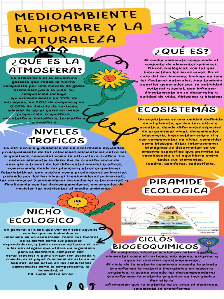 Infografia Grafico Proceso Pasos Orden Doodle Multicolor | PDF ...