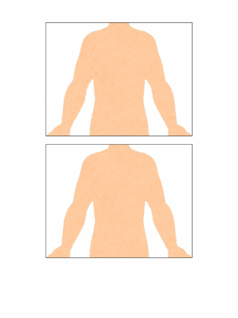 Torso Humano | PDF