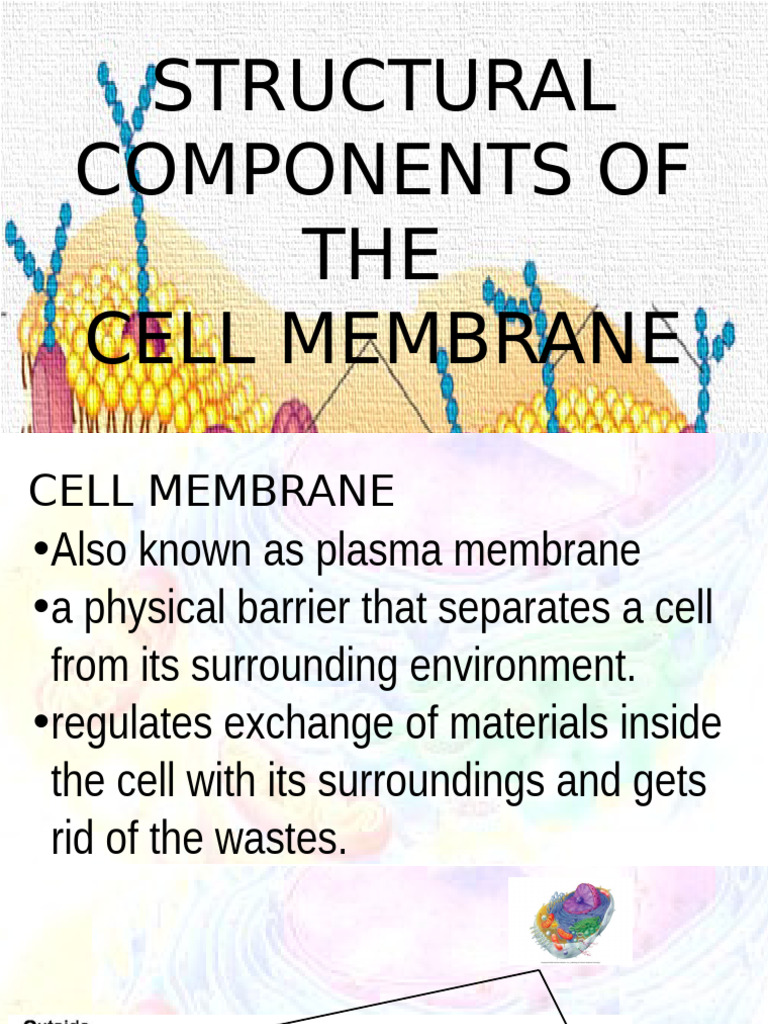 CELL MEMBRANE STRUCTURE AND FUNCTIONS PDF visual data 6
