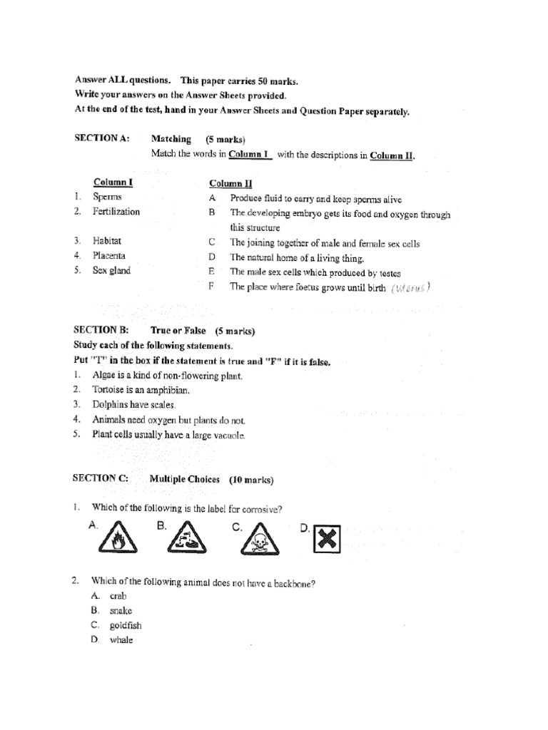 F.1 IS 1st Term Test (With Ans) | PDF