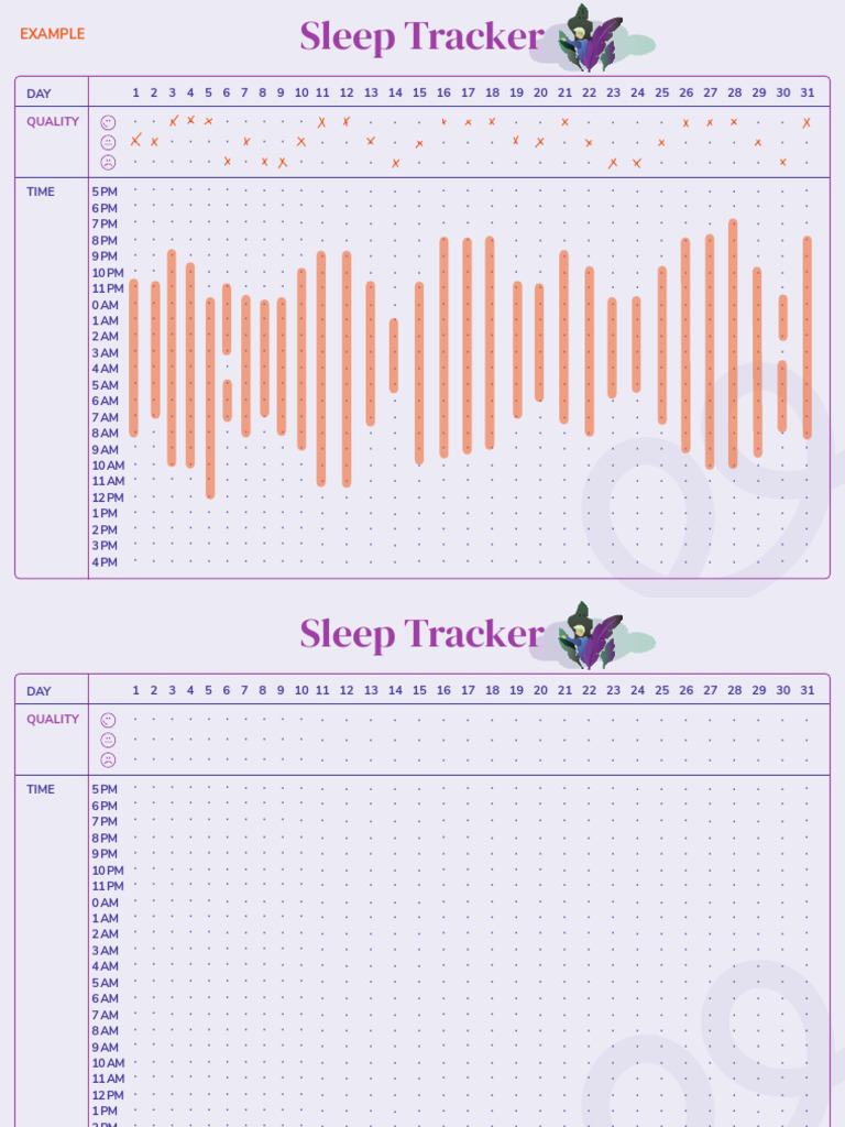 Sleep Quality Tracker Overview | PDF