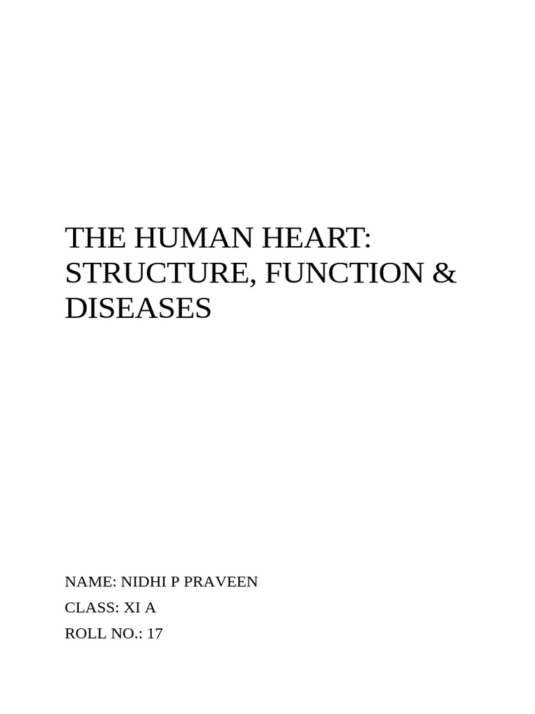 Heart Structure, Function, and Diseases | PDF | Heart | Ventricle (Heart)