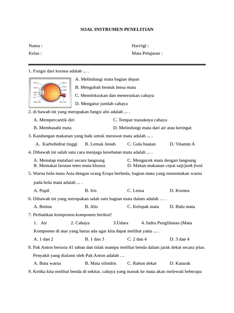 Komponen Penting untuk Melihat dengan Baik | PDF