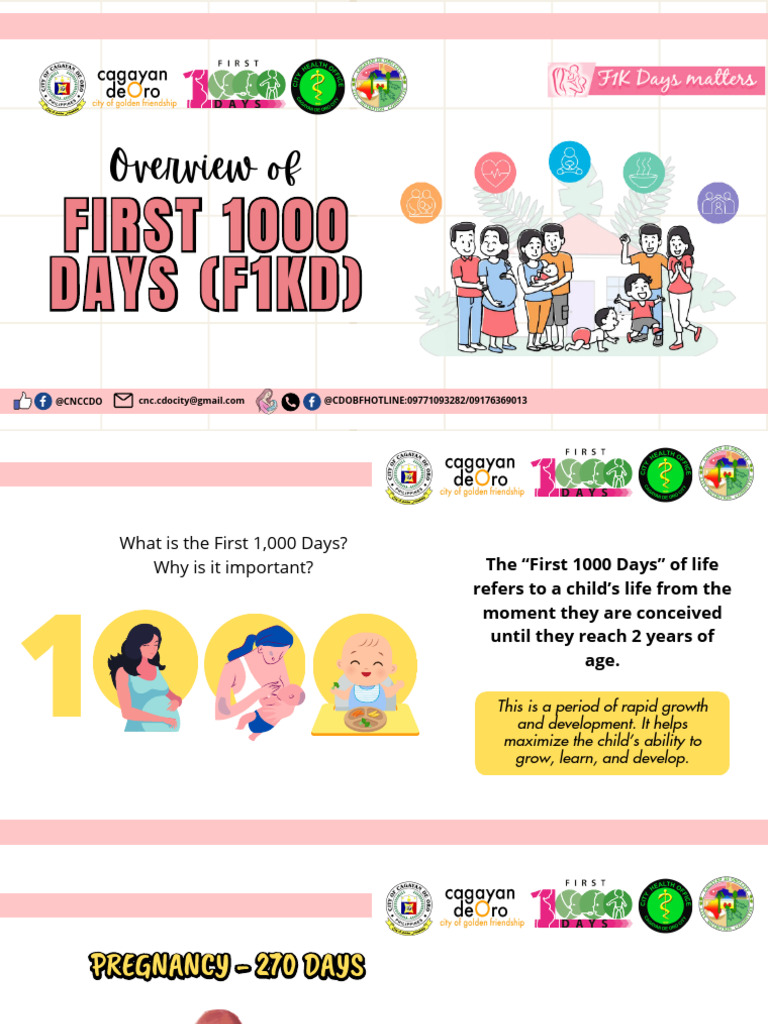 Importance of the First 1000 Days | PDF | Breast Milk | Human Nutrition