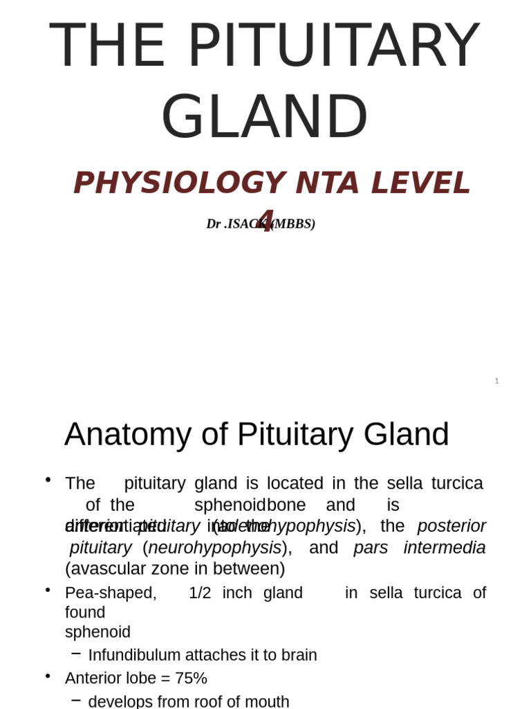 Pituitary Gland Physiology Overview | PDF | Pituitary Gland | Hypothalamus