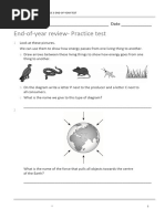 Grade 3 Light and Shadow Worksheet | PDF