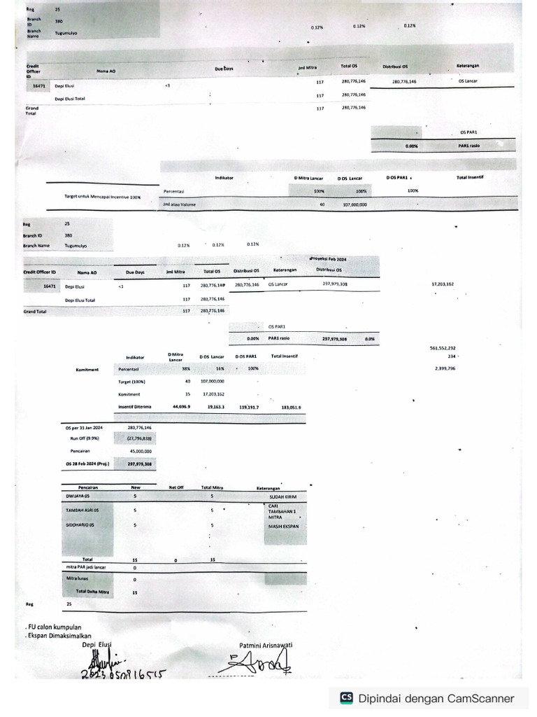 Kertas Kerja Ao Depi Elusi | PDF