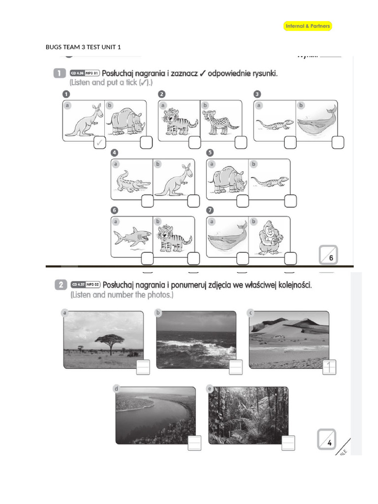 Bugs Team 3 Unit 1 Test | PDF
