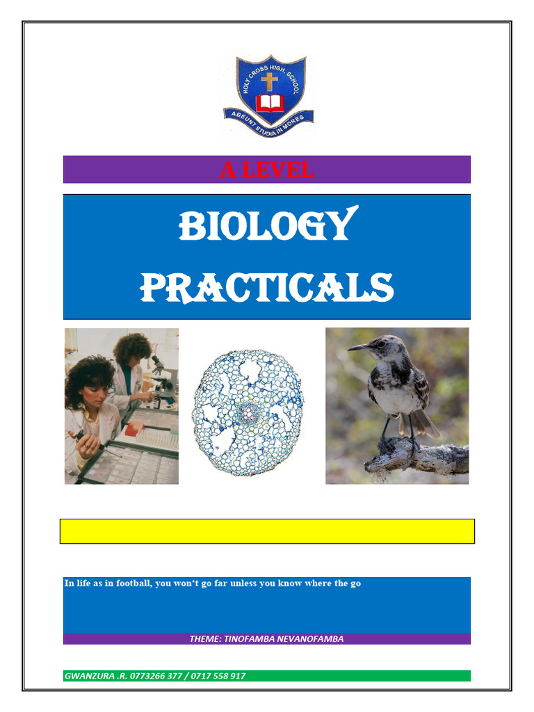 A Level Biology Practicals 2019 | PDF | Significant Figures | Microscope