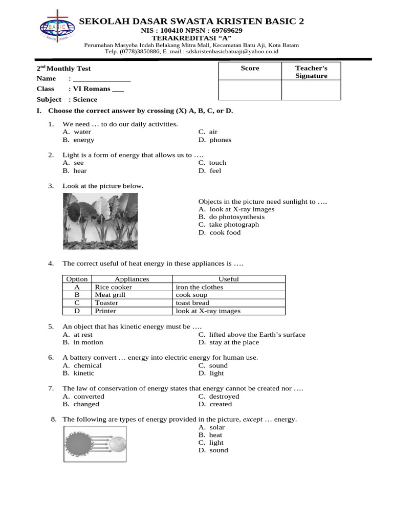 Science Monthly Test for VI Romans | PDF | Kinetic Energy | Potential ...