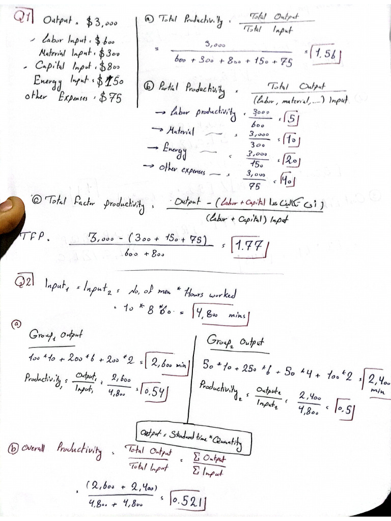 Anization - Sheet 1 ANS | PDF