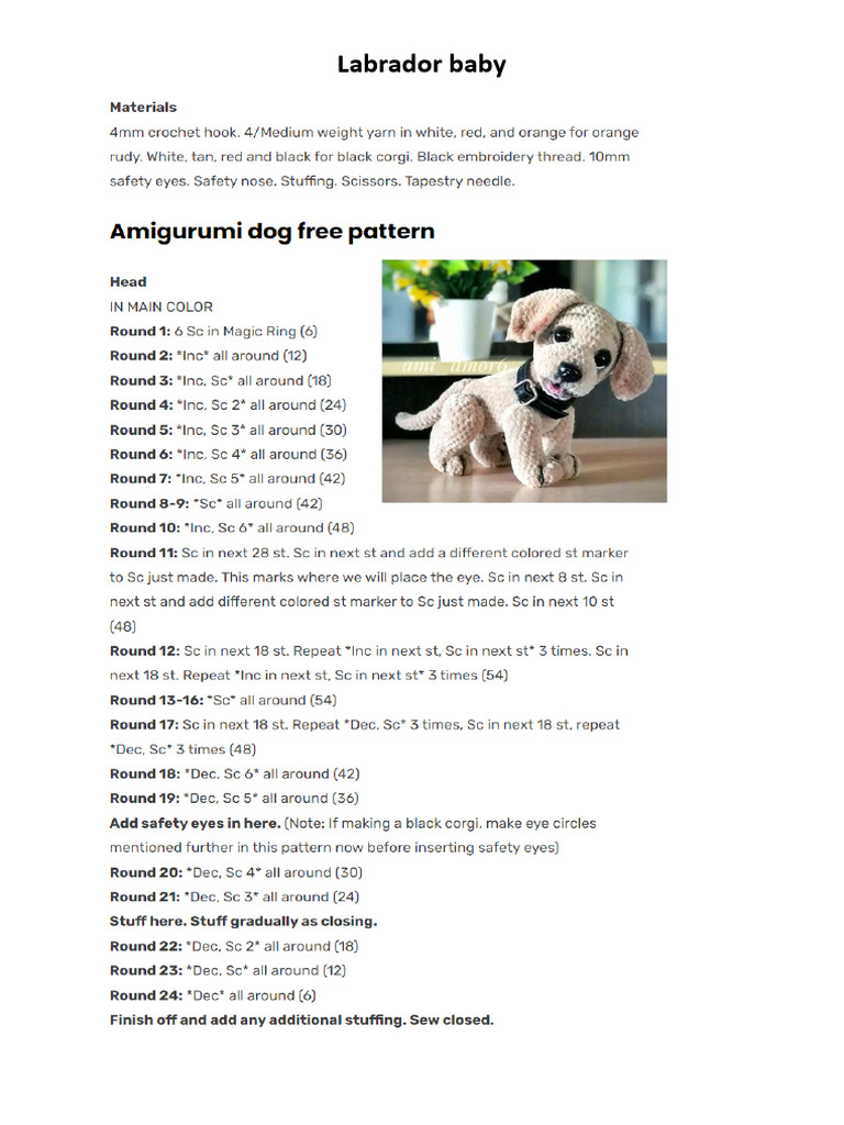 Labrador Baby | PDF