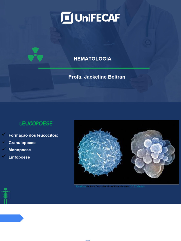 Formação e Tipos de Leucócitos | PDF | Glóbulo branco | Linfócito