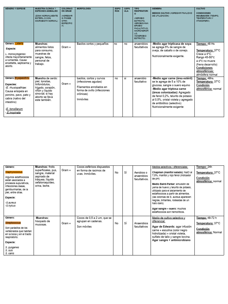 Tabla Resumen Bichos Micro II | PDF | Staphylococcus Aureus ...
