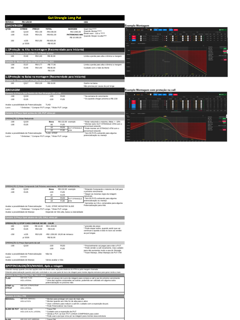 Estudo Gut Strangle Long Put | PDF