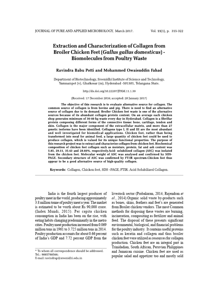 Collagen Extraction from Chicken Feet | PDF | Collagen
