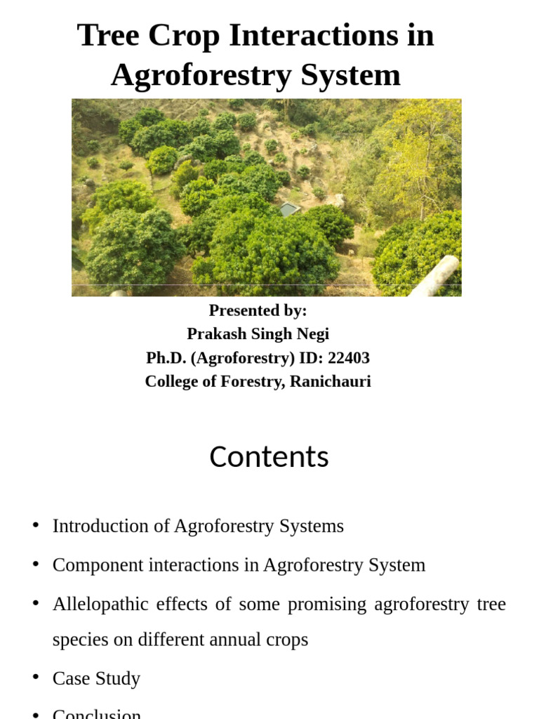 Economical Crop Interactions in Agroforestry | PDF | Soil | Root