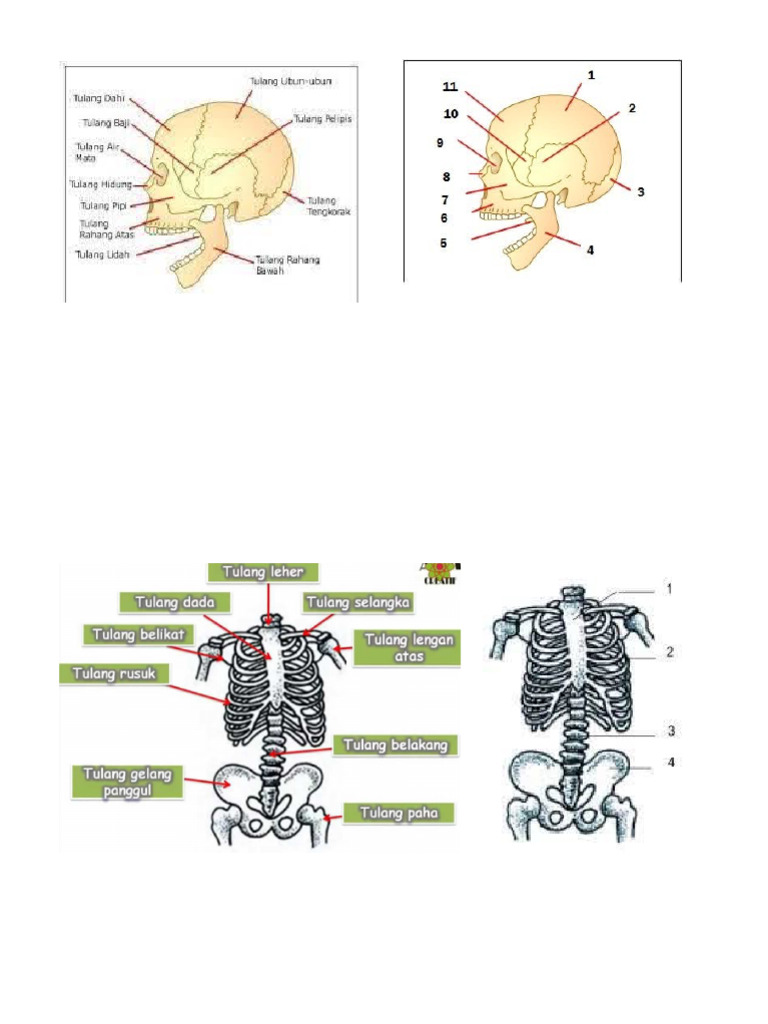 8 | PDF