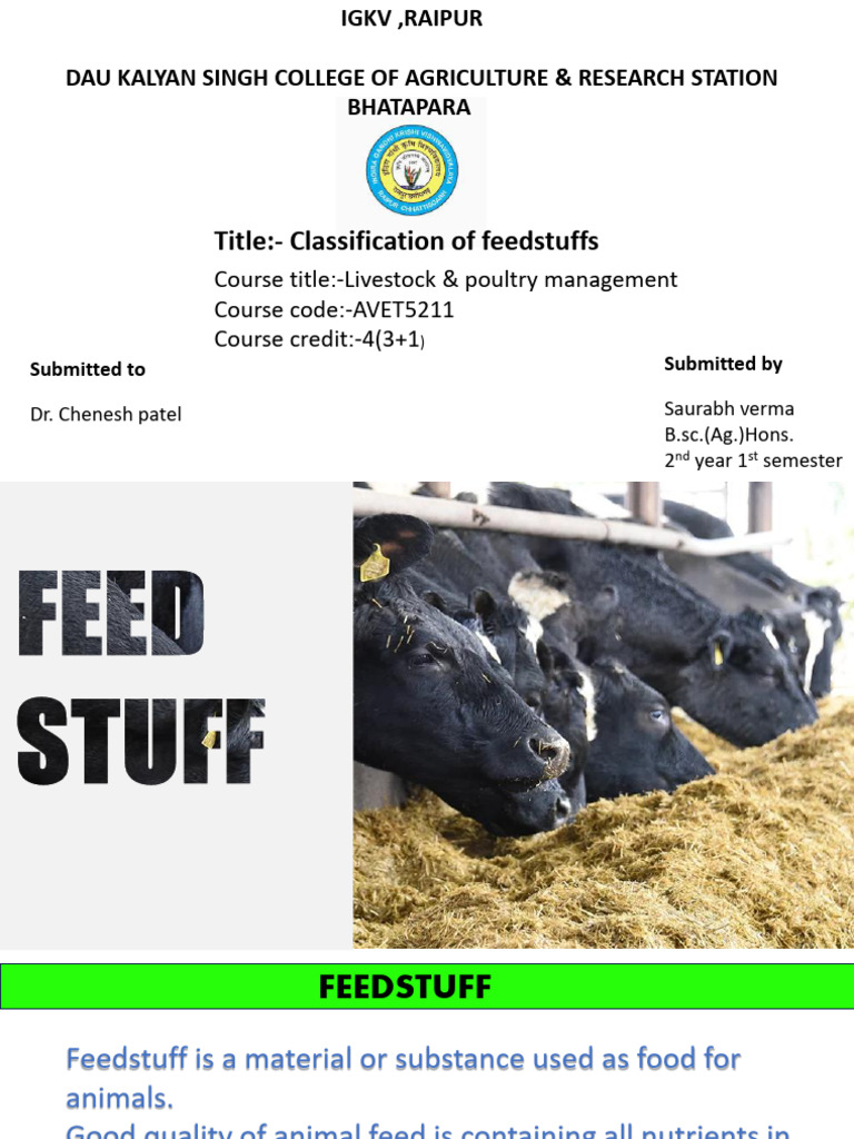 Classification of Feedstuffs in Nutrition | PDF | Animal Feed | Cereals