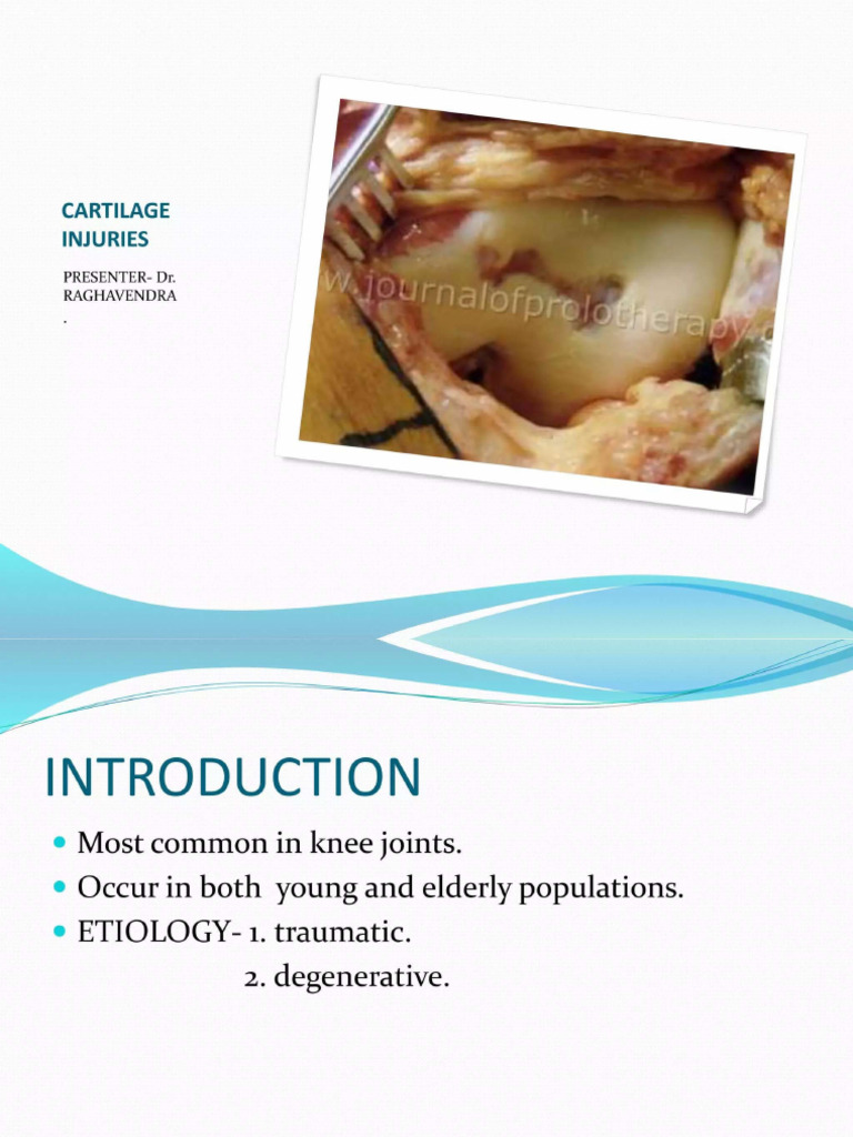 Cartilage Injury 1 | PDF