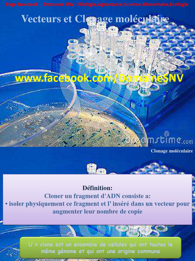 Vecteurs et Clonage Moléculaire | PDF | Clonage | Plasmide