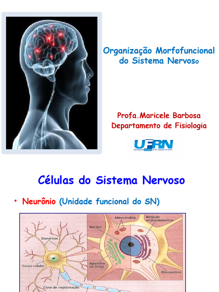 Estrutura e Função do Sistema Nervoso | PDF | Sistema nervoso central ...
