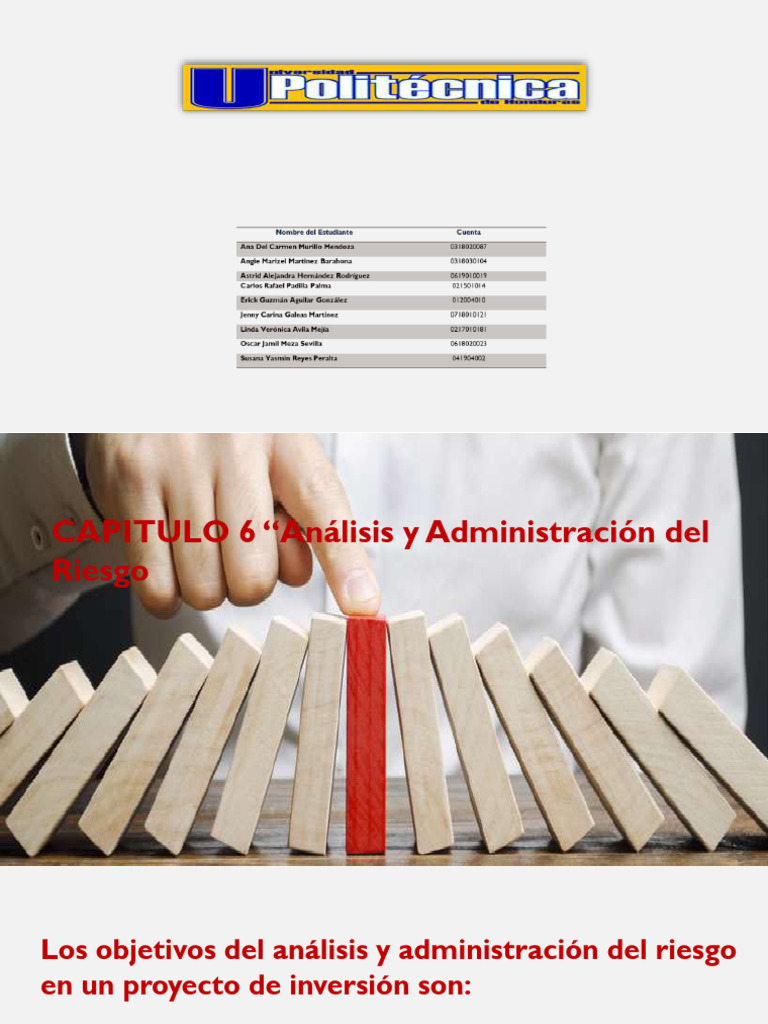 Análisis y Evaluación de Riesgos en Proyectos | PDF | Riesgo | Inversiones