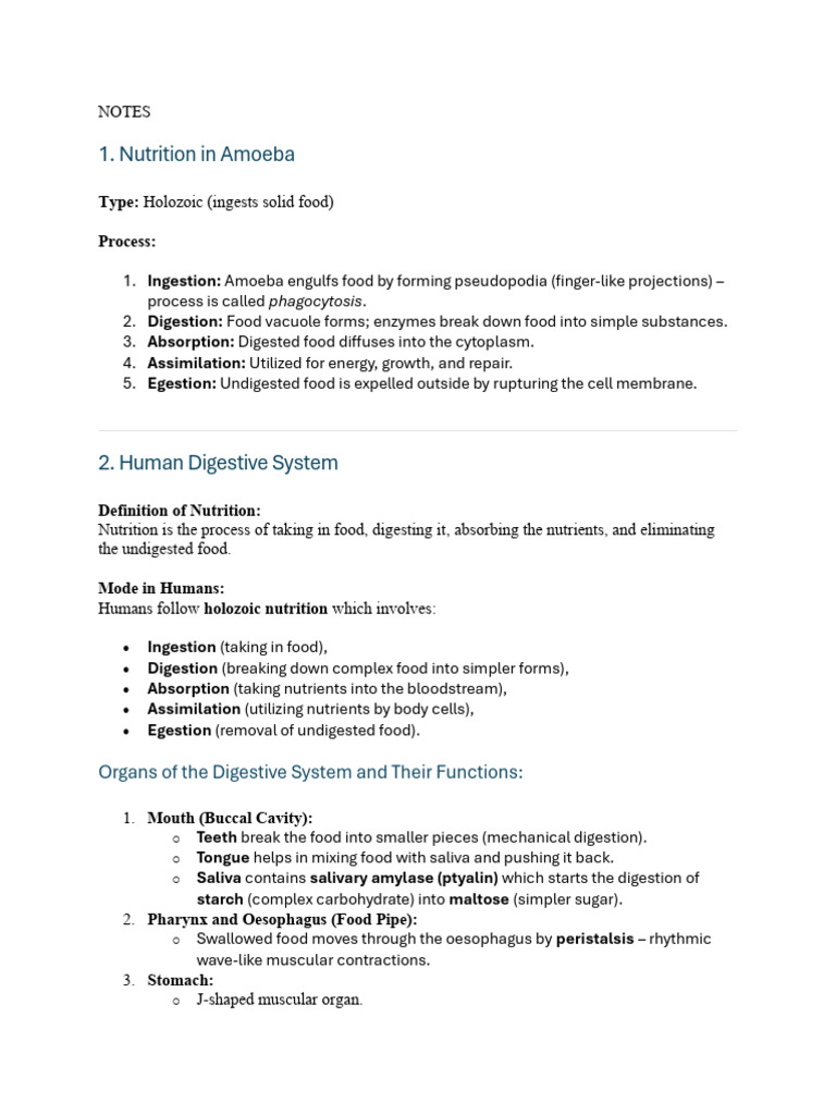 Notes Life Processes | PDF | Digestion | Cellular Respiration