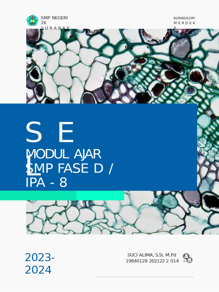 Sel Punca dan Penyembuhan Penyakit | PDF