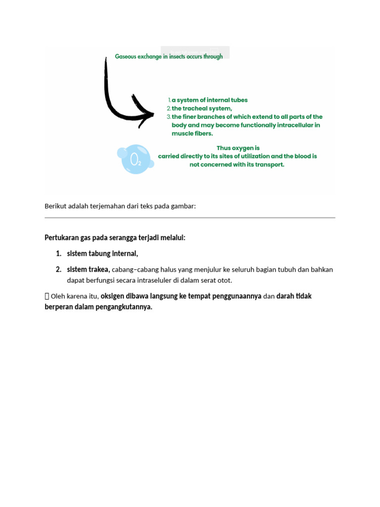 Sistem Trakea pada Serangga: Fungsi dan Struktur | PDF