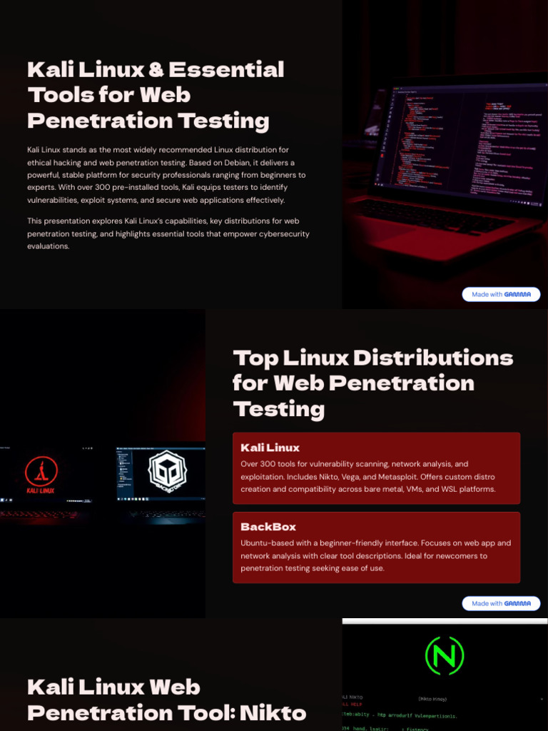 Kali Linux and Essential Tools For Web Penetration Testing | PDF ...