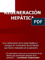 Regeneración hepática