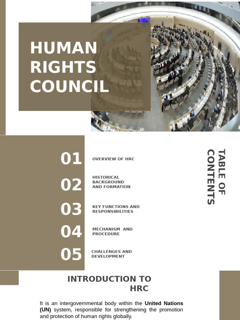 Overview of the Human Rights Council | PDF | Human Rights | United Nations