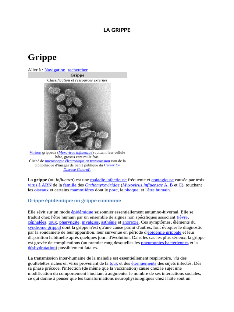 La grippe : enjeux et prévention | PDF | Grippe | Influenzavirus A sous ...