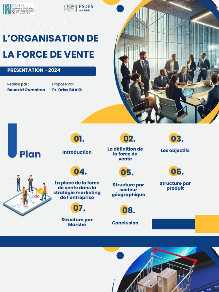 Organisation de la Force de Vente | PDF | Sodles | Business