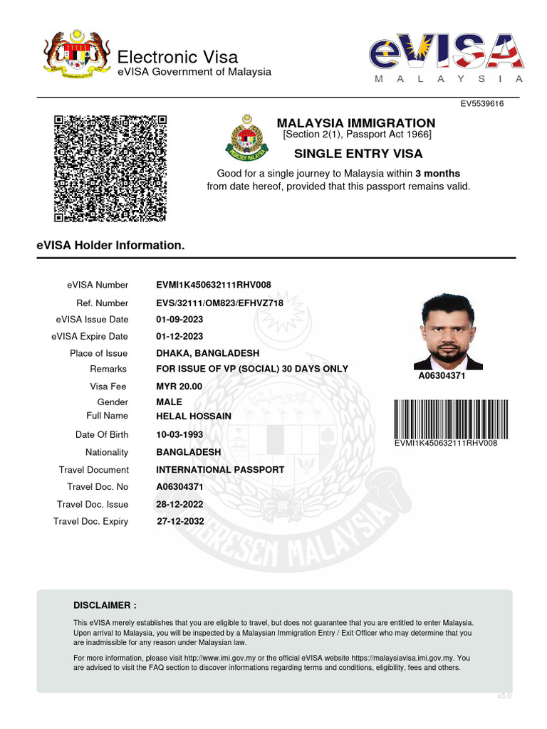 Malaysia eVISA Travel Document Details | PDF