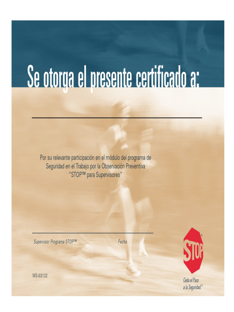 MS 03132 Spanish Certs | PDF
