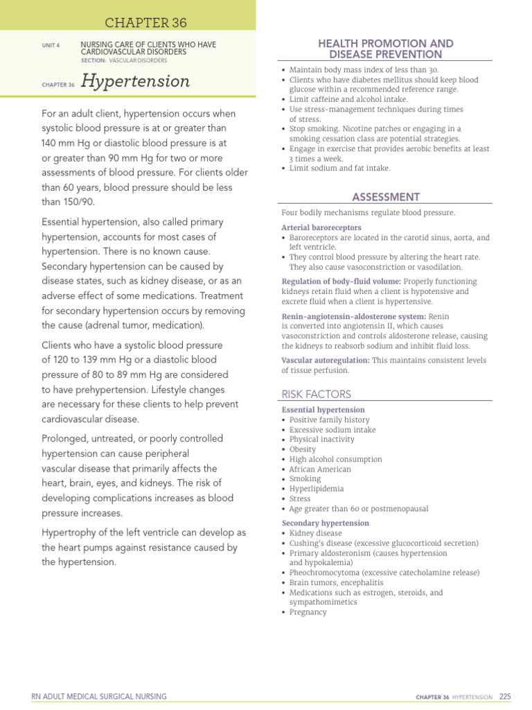 Understanding Hypertension in Adults | PDF | Hypertension | Blood Pressure