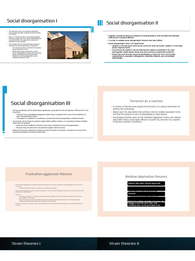 International Terrorism Slides Pdf Crimes Crime Violence