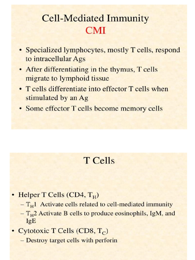 Cell Mediated Immune Response | PDF | B Cell | Macrophage
