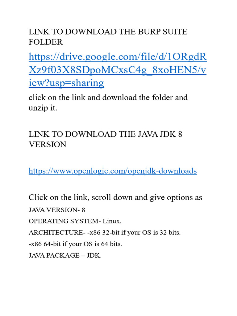 Burp Suite Installation with OpenJDK 8 | PDF