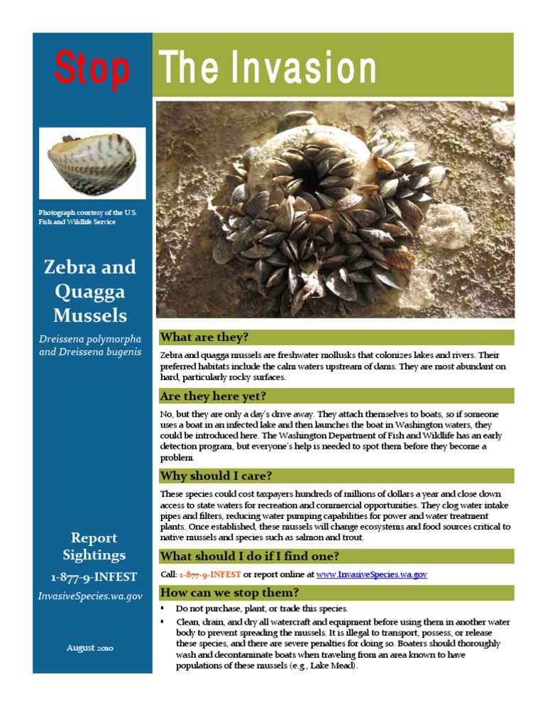 Washington Invasive Species Council: Zebra Quagga Mussel Fact Sheet