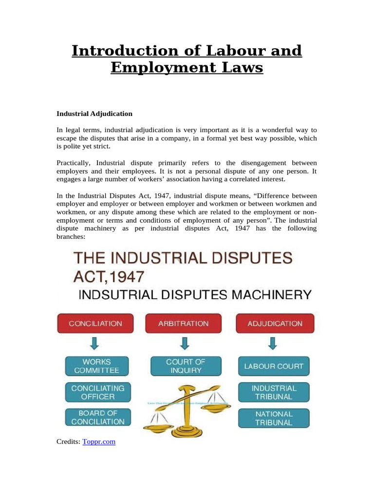 Introduction of Labour and Employment Laws | PDF | Employment | Labour Law